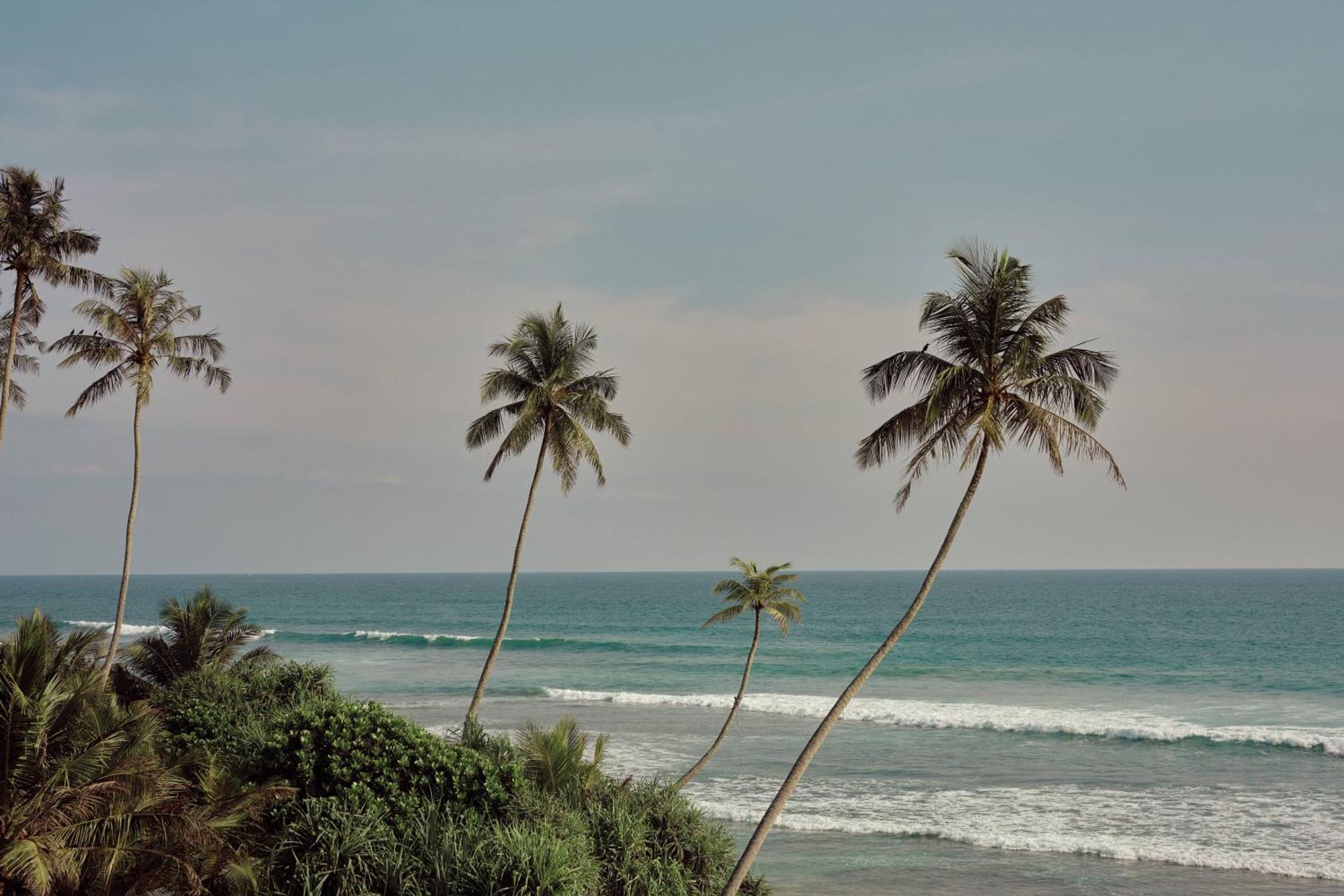 Gitano Surf Ahangama Beachfront 외부 사진